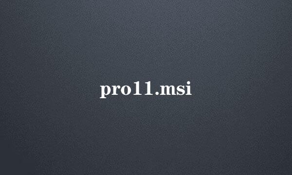 pro11.msi