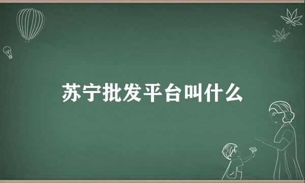 苏宁批发平台叫什么