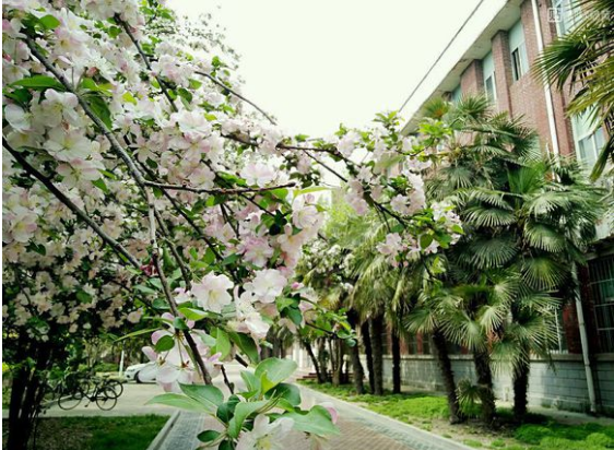 河南师范大学怎么样?