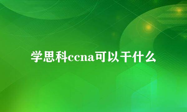 学思科ccna可以干什么