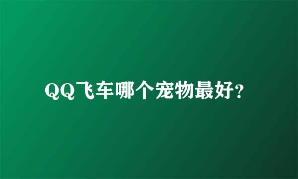 QQ飞车哪个宠物最好？