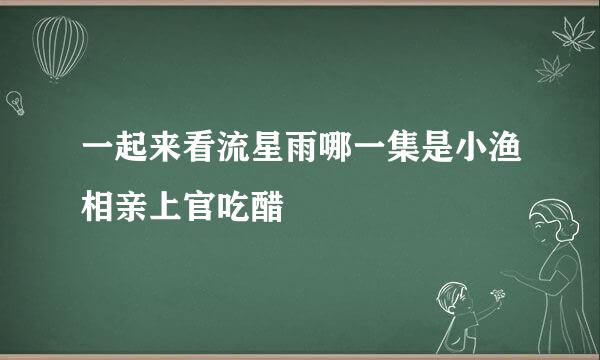 一起来看流星雨哪一集是小渔相亲上官吃醋