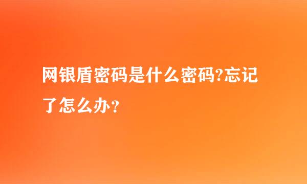 网银盾密码是什么密码?忘记了怎么办？