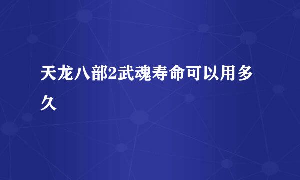 天龙八部2武魂寿命可以用多久