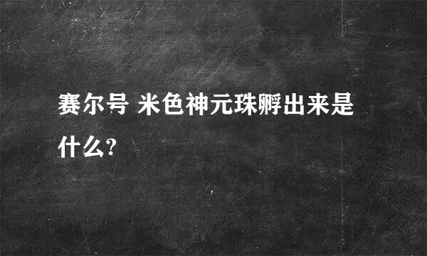 赛尔号 米色神元珠孵出来是什么?