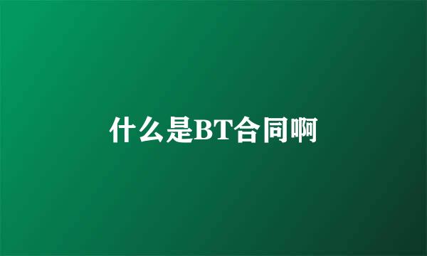 什么是BT合同啊