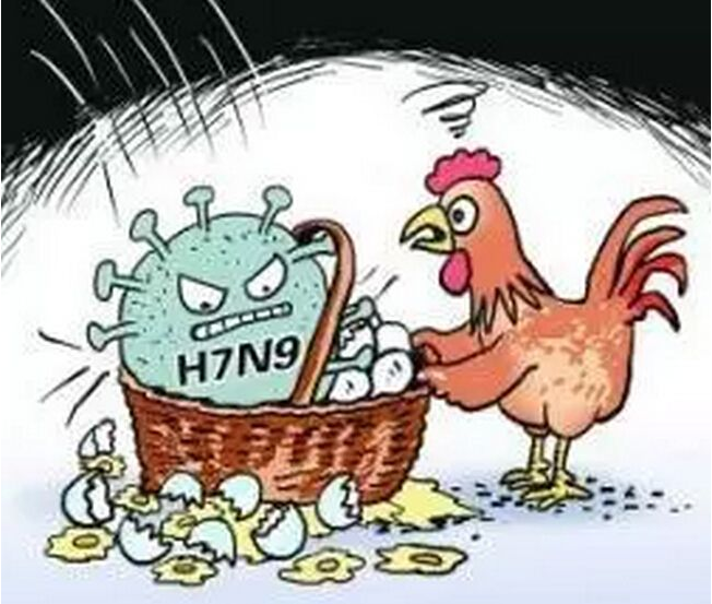 h7n9病毒变异株会人传人吗？