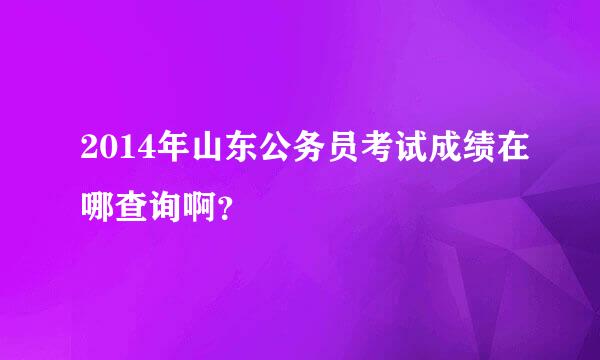 2014年山东公务员考试成绩在哪查询啊？