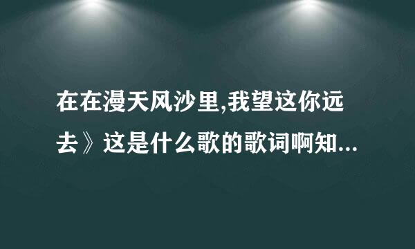 在在漫天风沙里,我望这你远去》这是什么歌的歌词啊知道的速度回下，谢谢