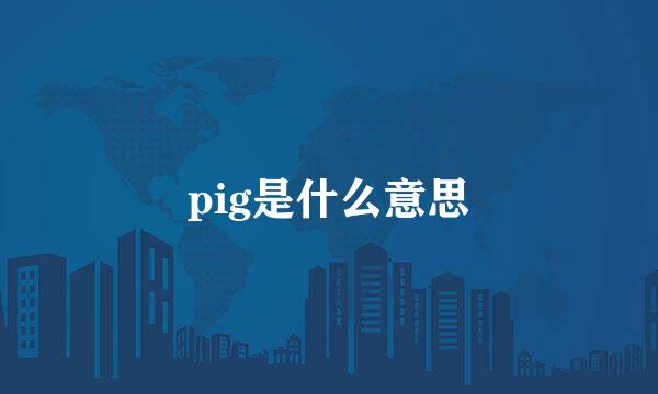 pig是什么意思