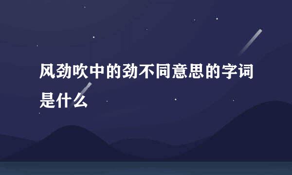 风劲吹中的劲不同意思的字词是什么