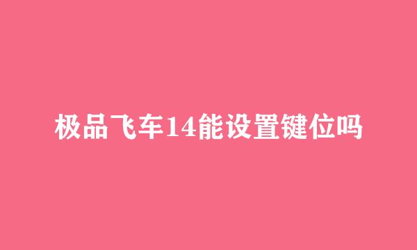 极品飞车14能设置键位吗