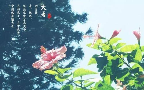 24节气中属于夏季的节气有