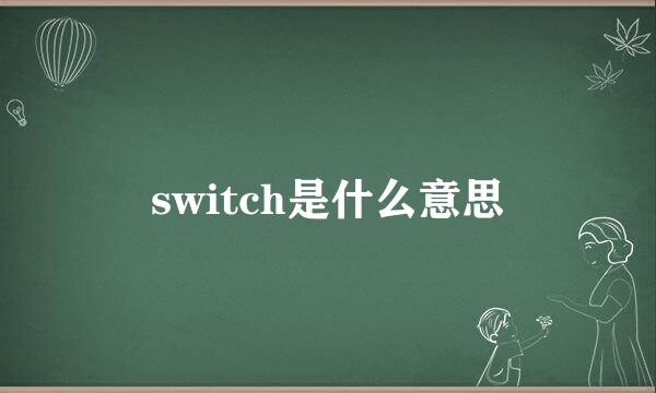 switch是什么意思