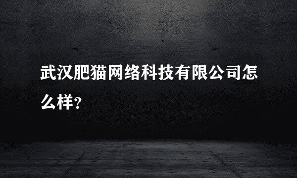 武汉肥猫网络科技有限公司怎么样？