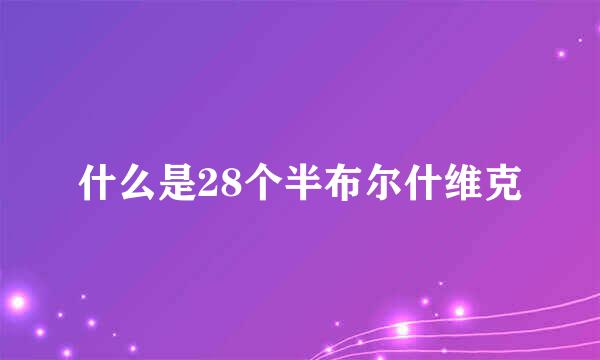 什么是28个半布尔什维克