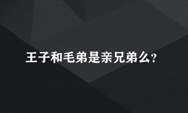 王子和毛弟是亲兄弟么？