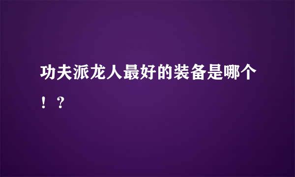 功夫派龙人最好的装备是哪个！？