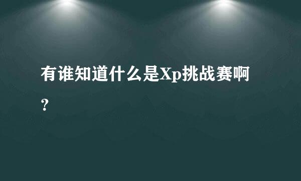 有谁知道什么是Xp挑战赛啊？