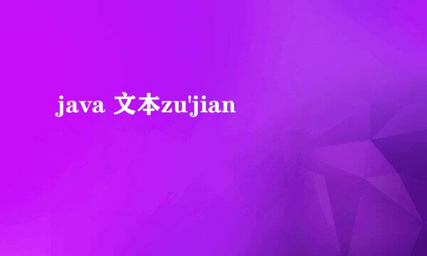 java 文本zu'jian