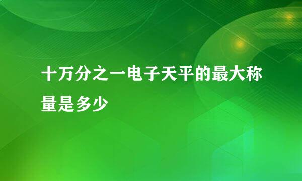 十万分之一电子天平的最大称量是多少