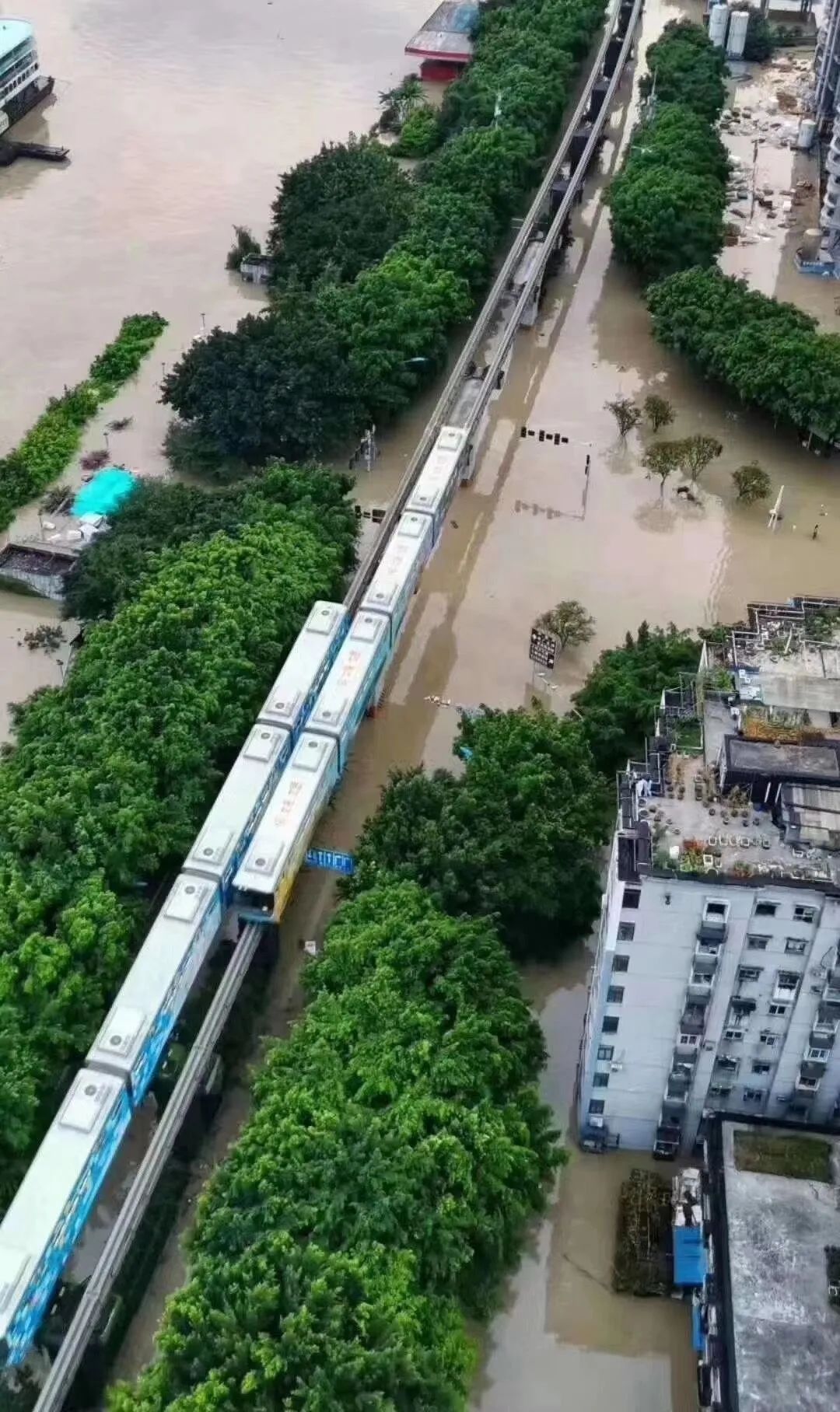 洪水漫上重庆主城，此次的洪水会造成什么影响？