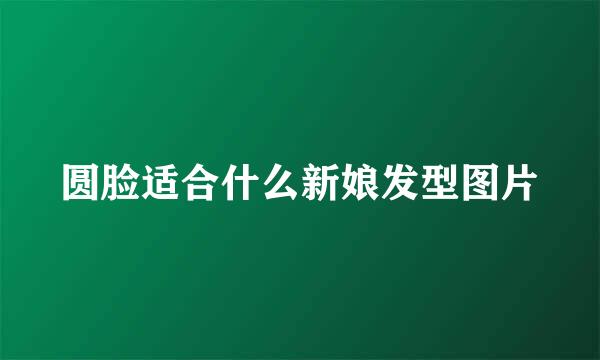 圆脸适合什么新娘发型图片