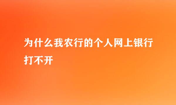 为什么我农行的个人网上银行打不开