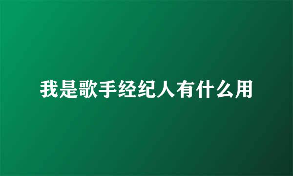 我是歌手经纪人有什么用