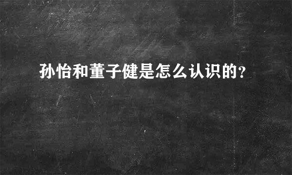 孙怡和董子健是怎么认识的？