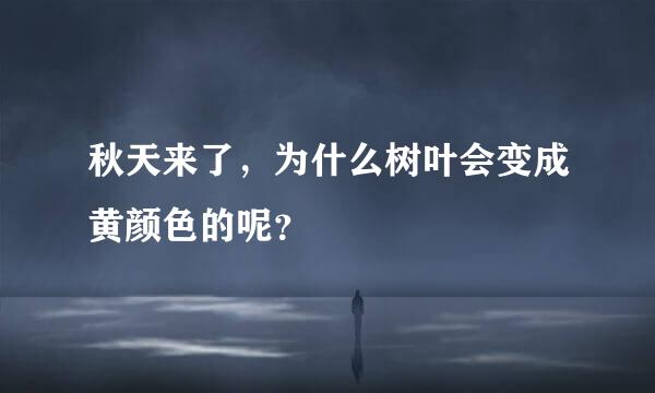 秋天来了，为什么树叶会变成黄颜色的呢？