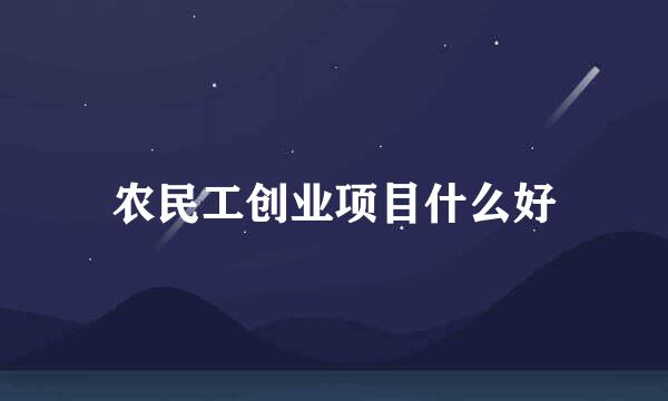 农民工创业项目什么好