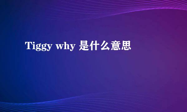 Tiggy why 是什么意思