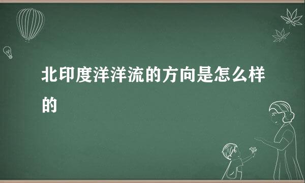 北印度洋洋流的方向是怎么样的