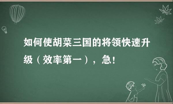 如何使胡菜三国的将领快速升级（效率第一），急！