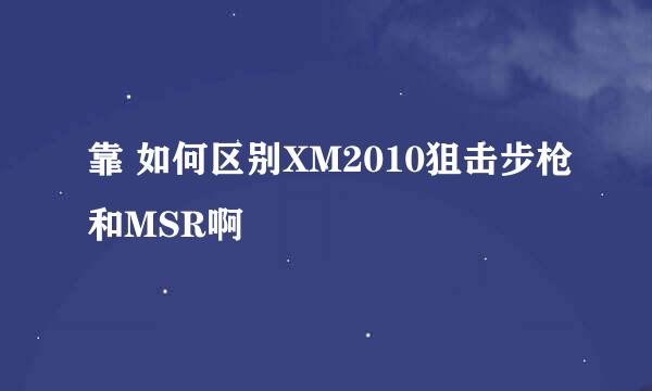 靠 如何区别XM2010狙击步枪和MSR啊