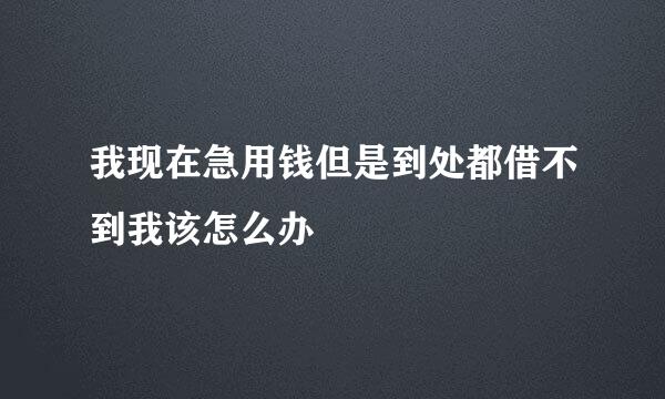 我现在急用钱但是到处都借不到我该怎么办