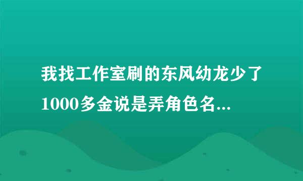 我找工作室刷的东风幼龙少了1000多金说是弄角色名用了，这是怎么回事？谁能给解答一下。详细点的