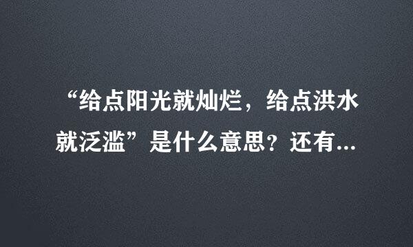 “给点阳光就灿烂，给点洪水就泛滥”是什么意思？还有什么和它相近的语句吗？