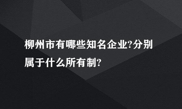 柳州市有哪些知名企业?分别属于什么所有制?