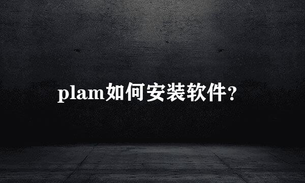 plam如何安装软件？