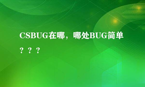 CSBUG在哪，哪处BUG简单？？？