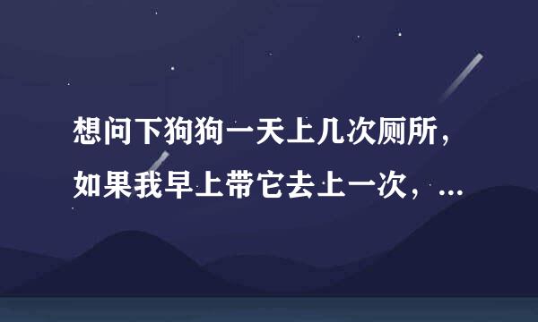 想问下狗狗一天上几次厕所，如果我早上带它去上一次，晚上带它在去一次可以不？ PS:去屋子外面.