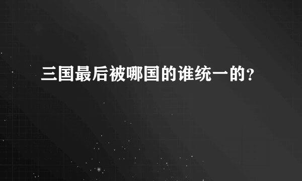 三国最后被哪国的谁统一的？