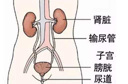 离地三尺一条沟，一年四季水长流，不见牛羊来吃草，只见和尚来洗头。请问谁知道谜底