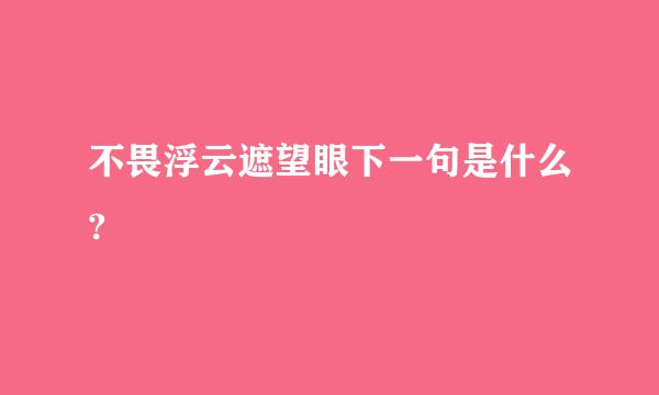 不畏浮云遮望眼下一句是什么?