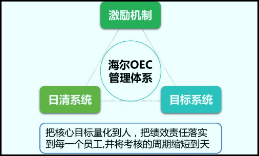 oec是什么？