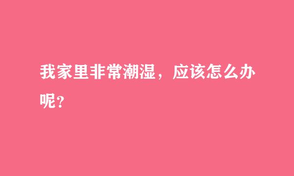 我家里非常潮湿，应该怎么办呢？