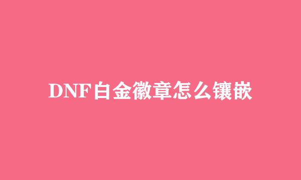 DNF白金徽章怎么镶嵌