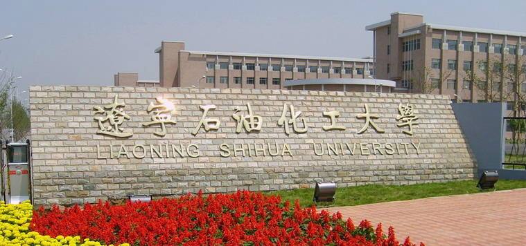 辽宁石油化工大学教务处自主学习学分怎么查